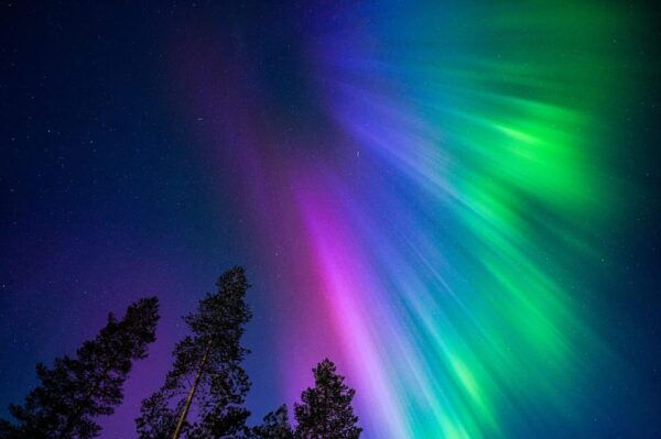 Tromsø: Guided Northern Lights Tour W/ Guaranteed Sightings - Group Size