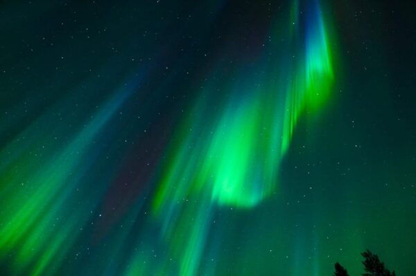 Tromsø: Guided Northern Lights Tour W/ Guaranteed Sightings - Frequently Asked Questions