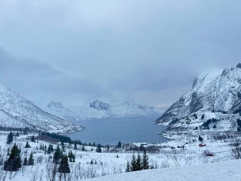 Tromsø Half-Day Tour: Fjords & Sommarøy Adventure - Exploring Tromsø’s Natural Beauty in Just a Few Hours