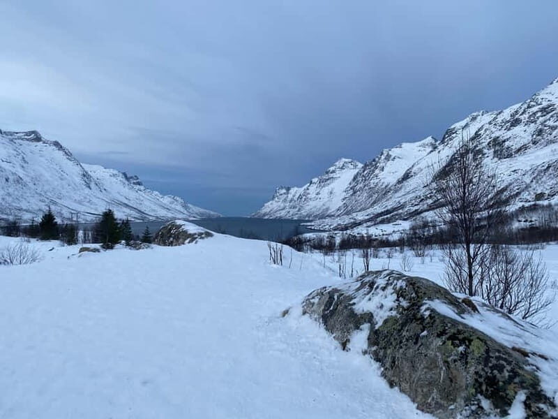 Tromsø Half-Day Tour: Fjords & Sommarøy Adventure - What Makes the Photography Service Special?