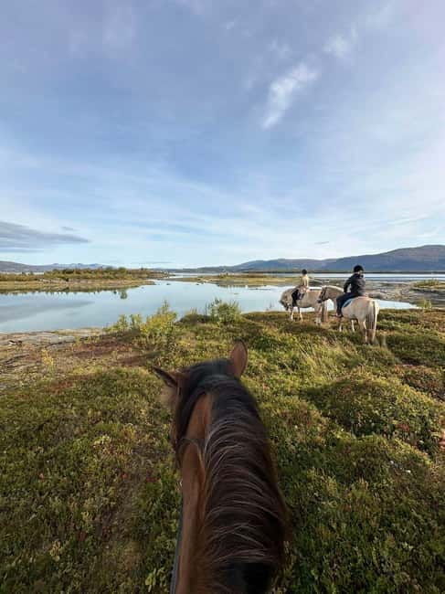 Tromsø: Horseback Riding Tour - What You Can Expect During the Tour