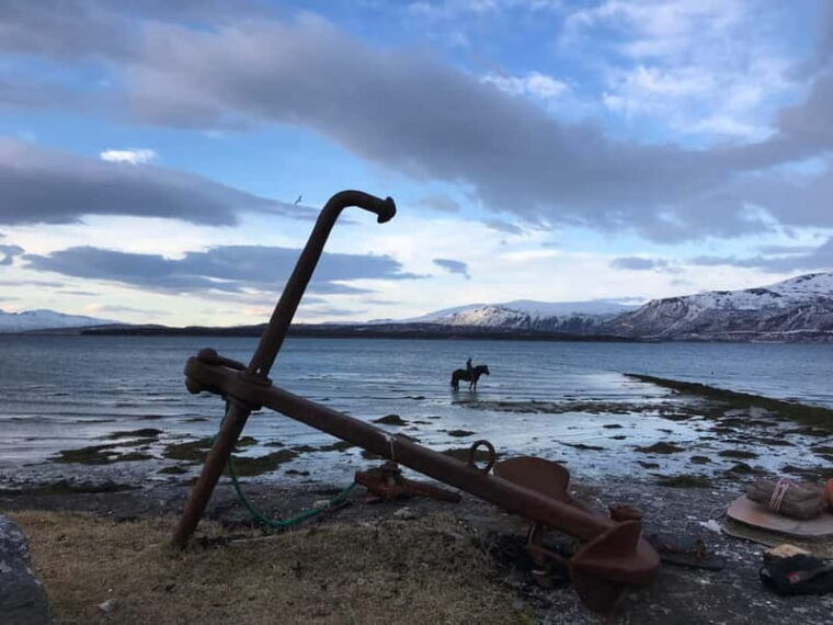 Tromsø: Horseback Riding Tour - The Value of the Experience
