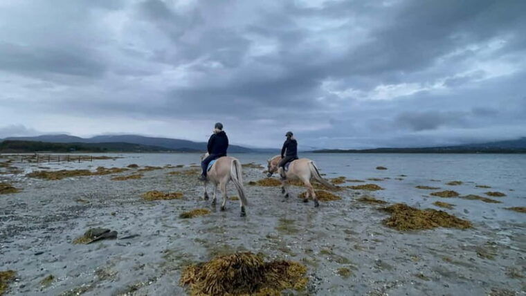 Tromsø: Horseback Riding Tour - Practical Tips for Your Ride