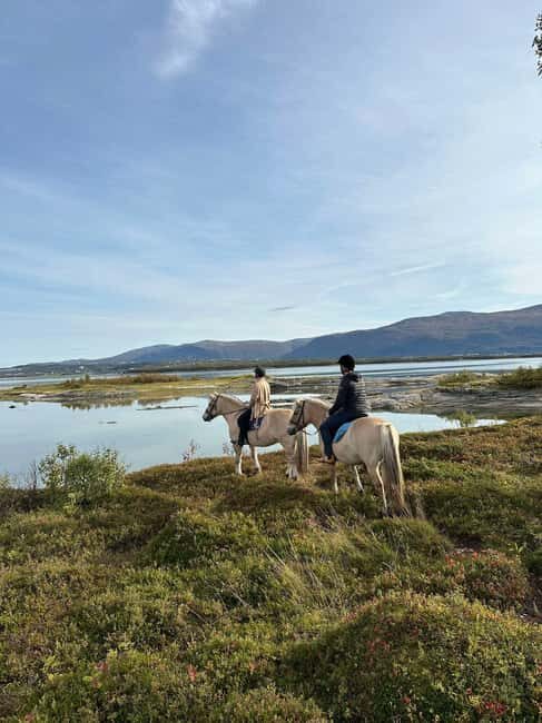 Tromsø: Horseback Riding Tour vinter/summer - Good To Know