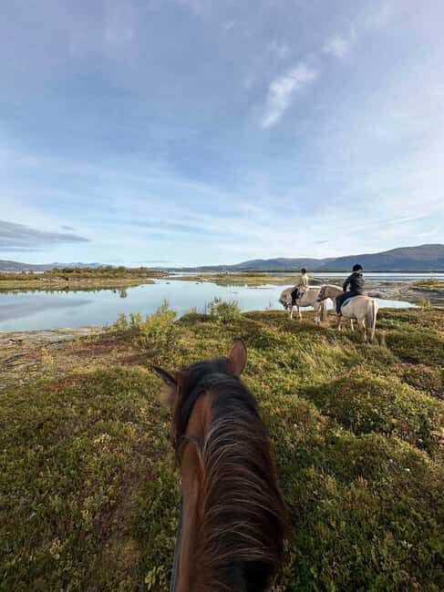 Tromsø: Horseback Riding Tour vinter/summer - The Value of This Horseback Tour