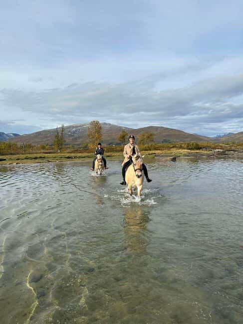 Tromsø: Horseback Riding Tour vinter/summer - Who Will Love This Tour?