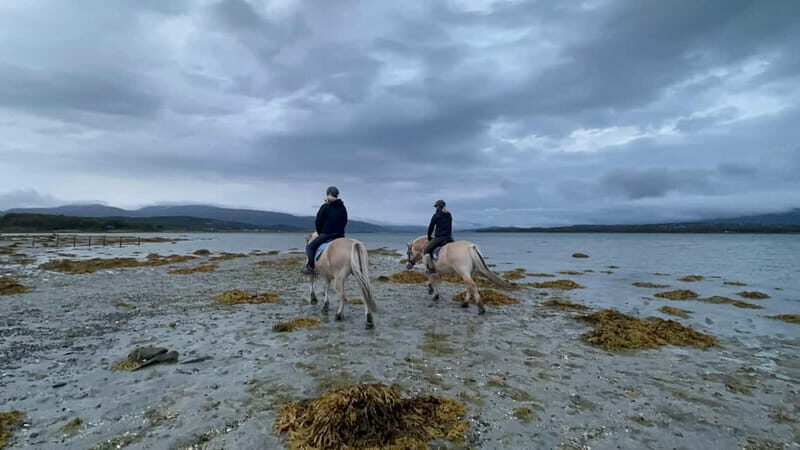 Tromsø: Horseback Riding Tour vinter/summer - Final Thoughts