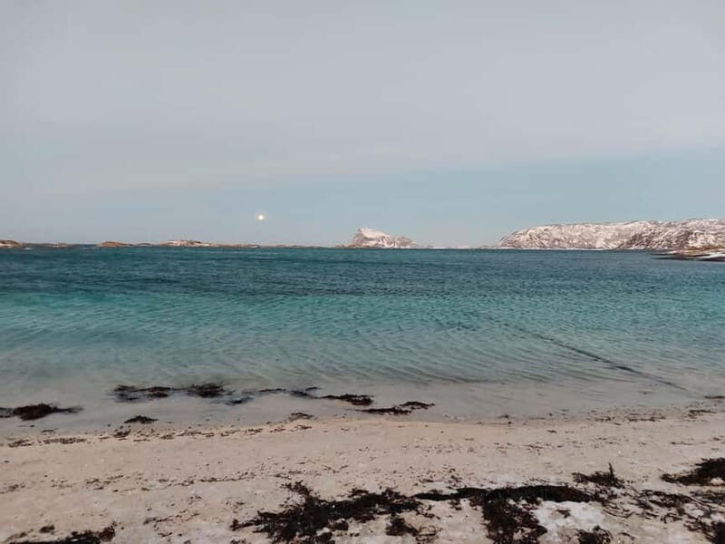 Tromsø: Island of Kvaløya Scenic Sightseeing Minibus Tour - An In-Depth Look at the Kvaløya Scenic Tour