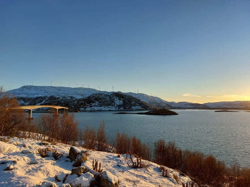 Tromsø: Island of Kvaløya Scenic Sightseeing Minibus Tour - Who Would Love This Tour?