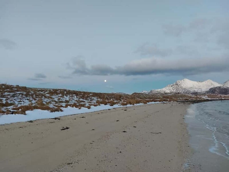 Tromsø: Island of Kvaløya Scenic Sightseeing Minibus Tour - FAQ