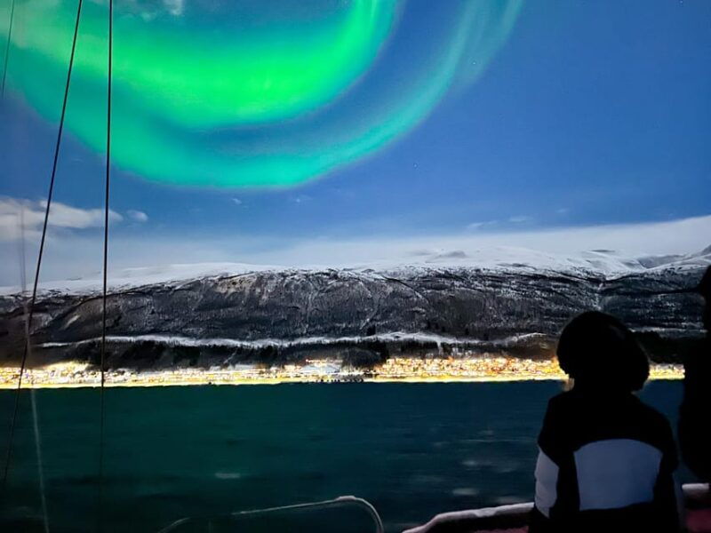 Tromso: Luxury Northern Lights Cruise with Hot Tub & Dinner - Who Will This Tour Suit Best?