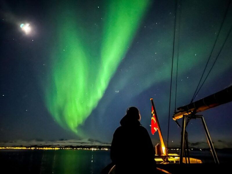 Tromso: Luxury Northern Lights Cruise with Hot Tub & Dinner - Final Thoughts