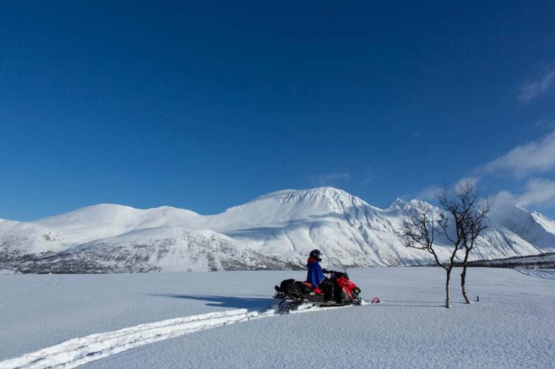 Tromsø: Lyngen Alps Snowmobile Adventure with Lunch - Good To Know