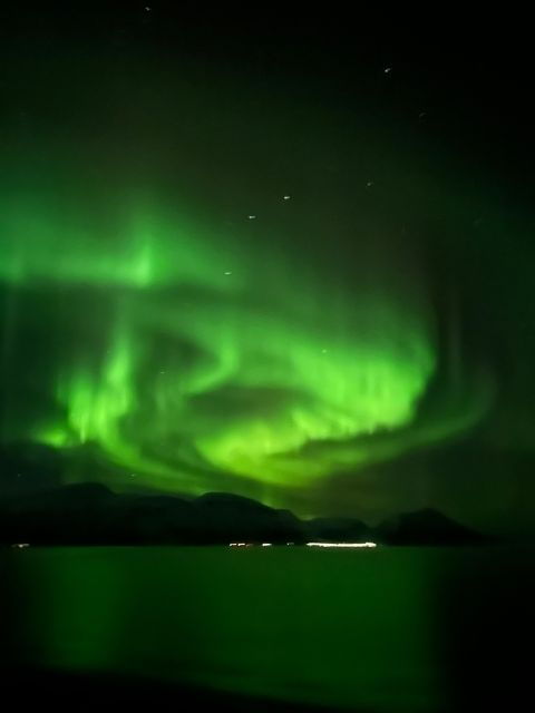Tromsø: Lyngen Horse Winter Evening Riding Experience - Good To Know