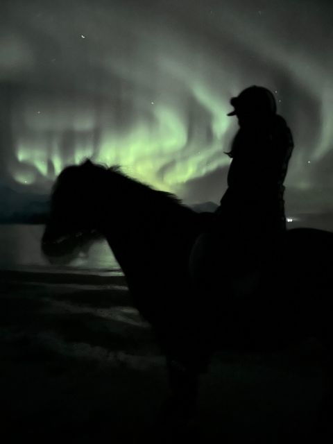 Tromsø: Lyngen Horse Winter Evening Riding Experience - Pricing and Value