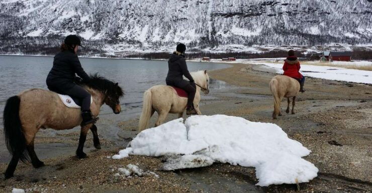 Tromsø: Lyngen Horseback Riding Experience - Experience Highlights