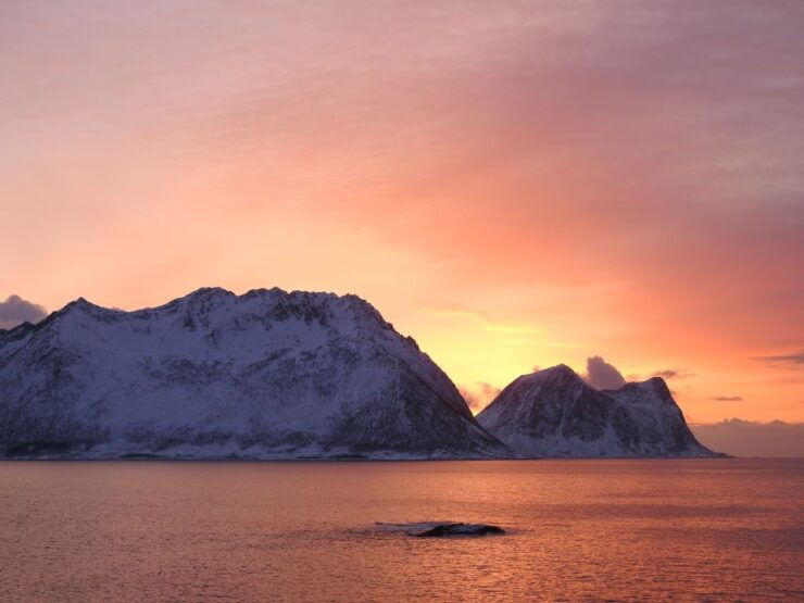 Tromsø: Midnight Cruise - Experience Highlights