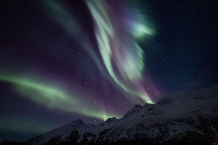 Tromsø: Northern Light Tour With Campfire and Hotel Transfer - Good To Know