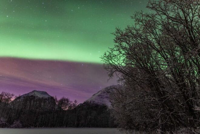 Tromsø: Northern Light Tour With Campfire and Hotel Transfer - Physical Requirements and Safety
