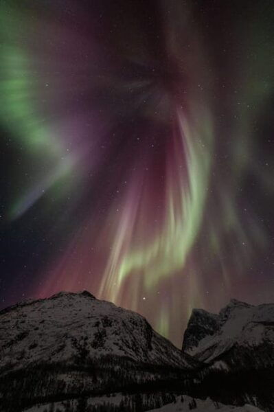 Tromsø: Northern Light Tour With Campfire and Hotel Transfer - Exclusive Discount at Boukersen Heim