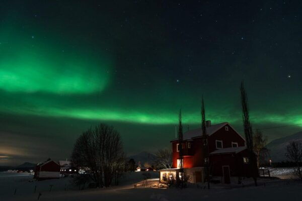 Tromsø: Northern Light Tour With Campfire and Hotel Transfer - Customer Testimonials and Ratings