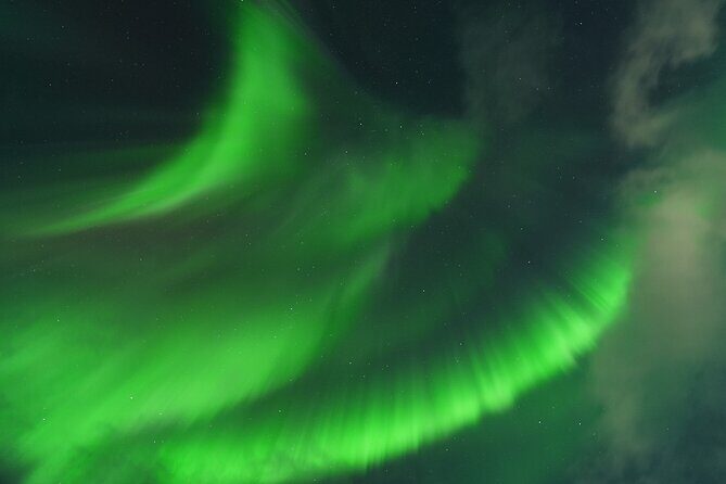 Tromsø: Northern Light tour with free complimentary photos. - Good To Know