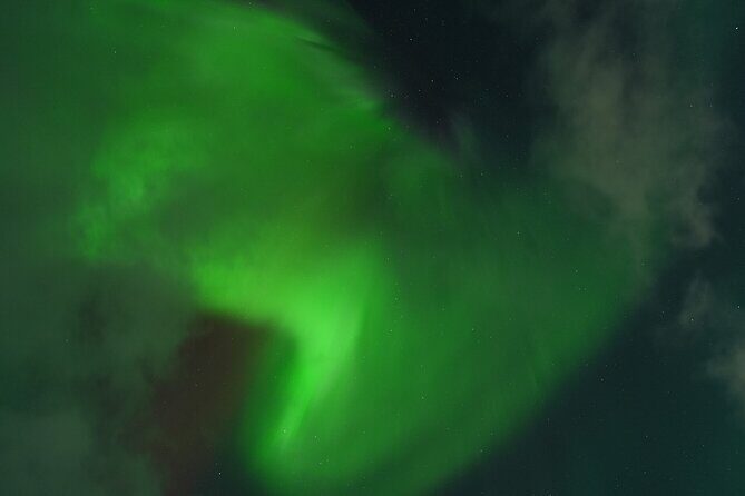 Tromsø: Northern Light tour with free complimentary photos. - A Closer Look at the Cost and Experience