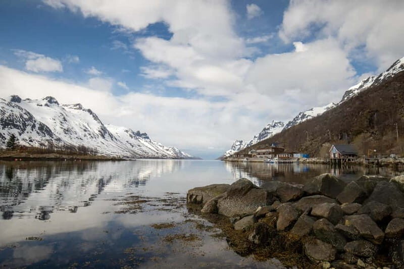 Tromsø: Northern Lights Adventure in Tromsø with Free Photos - Who Is This Tour Best For?