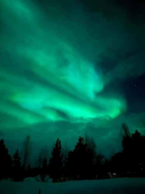 Tromsø: Northern Lights and a Starlit Adventure Tour - Pickup and Scenic Drive to Vikran