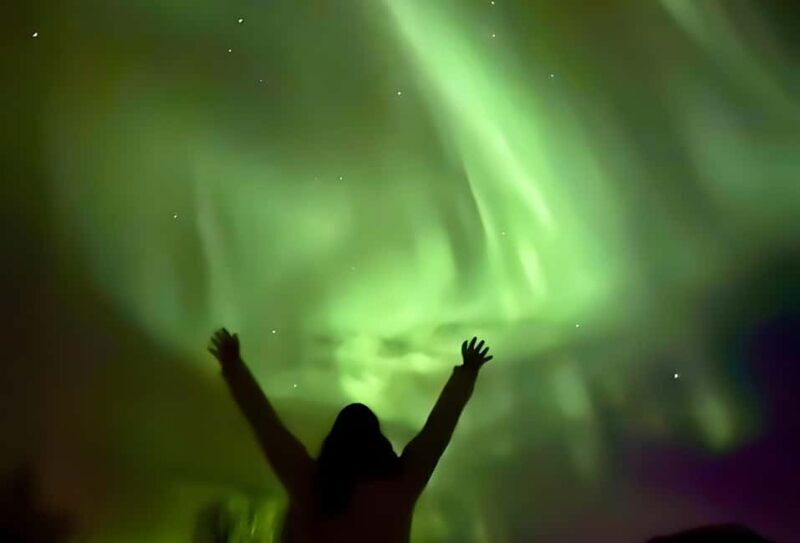 Tromsø: Northern Lights by Bus with Professional Photography - The Review Highlights: Authentic Guest Experiences