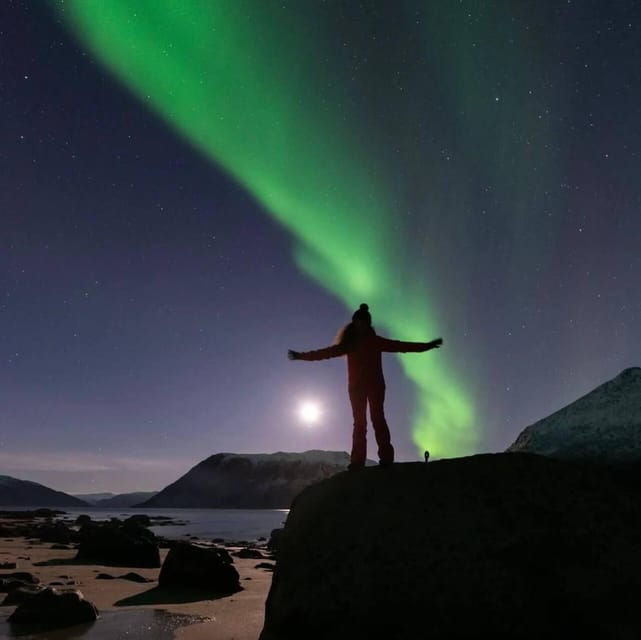 Tromsø: Northern Lights Chase by a comfortable bus - A Deep Dive into the Tromsø Northern Lights Bus Tour