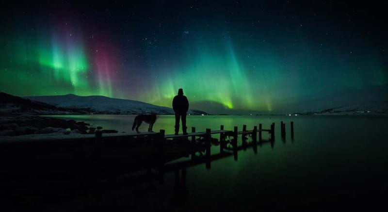 Tromsø: Northern Lights Chase + Free Professional Photos - Good To Know from the Tromsø Northern Lights Chase Tour