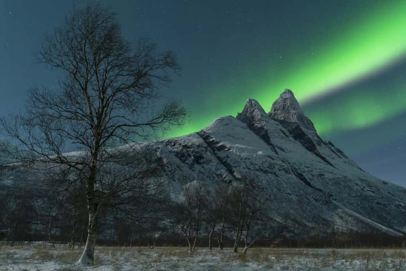 Tromsø: Northern Lights Chase + Free Professional Photos - Why This Tour Offers Great Value