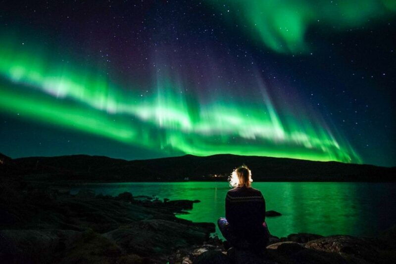 Tromsø: Northern Lights Chase Minibus Tour - What to Expect from the Northern Lights Chase Tour
