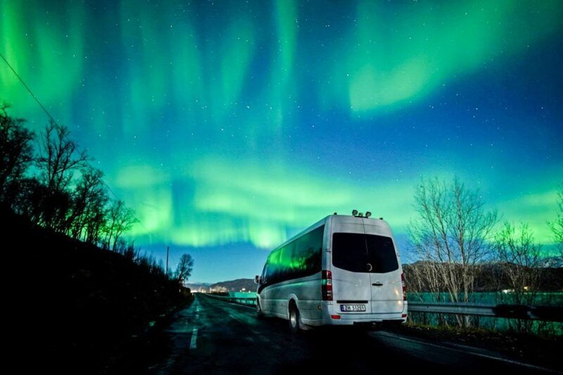 Tromsø: Northern Lights Chase Minibus Tour - What’s Included and What’s Not