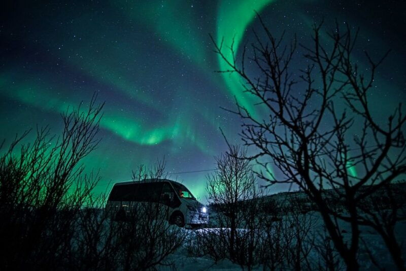 Tromsø: Northern Lights Chase Minibus Tour - Pricing and Value