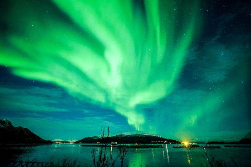 Tromsø: Northern Lights Chase Minibus Tour - Final Thoughts