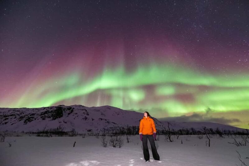 Tromsø: Northern Lights Chase with Photos and Guide - What Makes This Tour Stand Out?