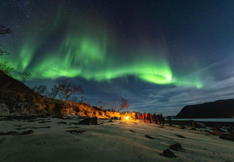 Tromsø: Northern Lights Focus Tour, German/English, minibus, meal - Introduction
