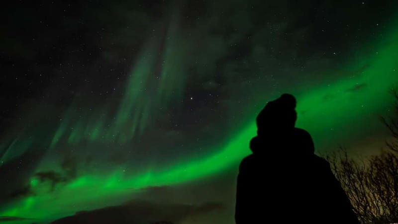 Tromsø: Northern Lights Focus Tour, German/English, minibus, meal - Why This Tour Stands Out