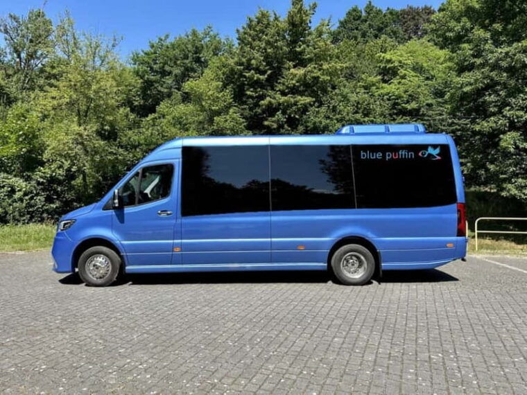 Tromsø: Northern Lights Focus Tour, German/English, minibus, meal - The Downside to Consider