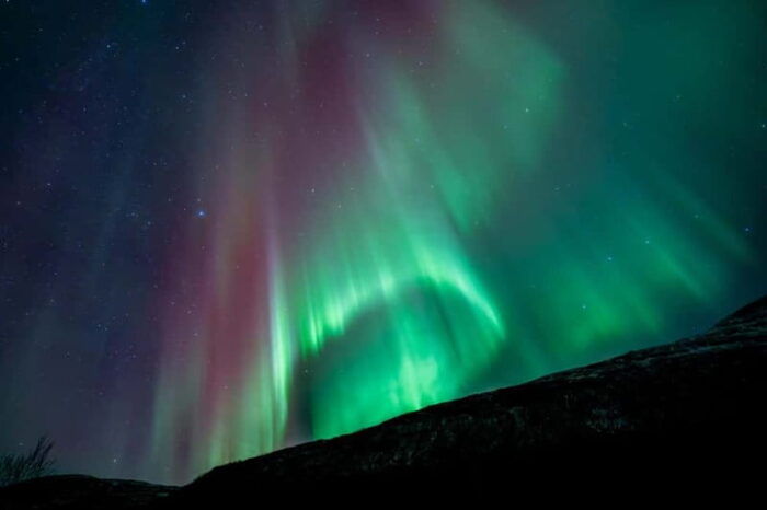 Tromsø: Northern Lights Focus Tour, German/English, minibus, meal - The Experience for Different Travelers