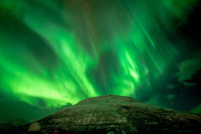 Tromsø: Northern Lights Focus Tour, German/English, minibus, meal - FAQ