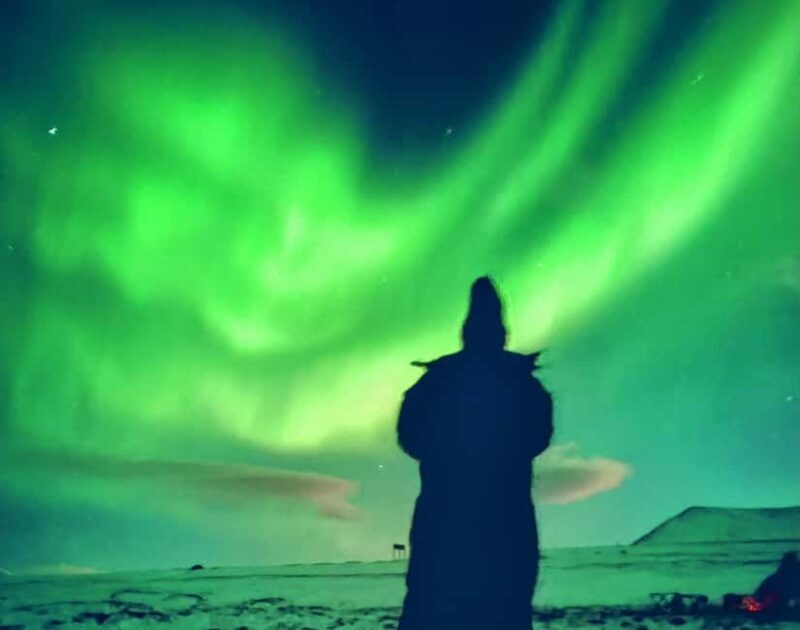 Tromsø: Northern Lights Guided Tour with Bonfire and Snacks - Breaking Down the Experience: What You Can Expect