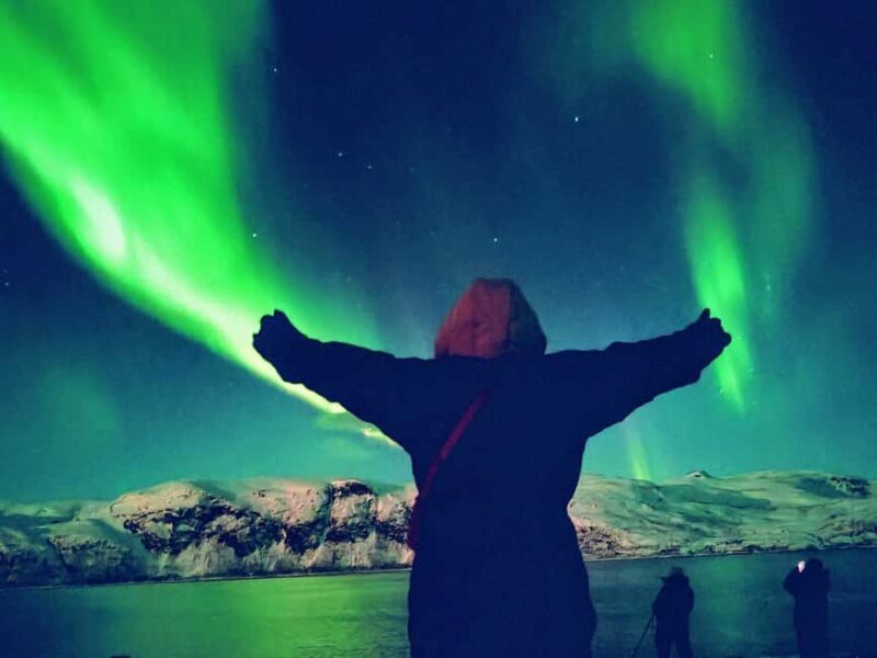 Tromsø: Northern Lights Guided Tour with Bonfire and Snacks - The Significance of Guided Expertise