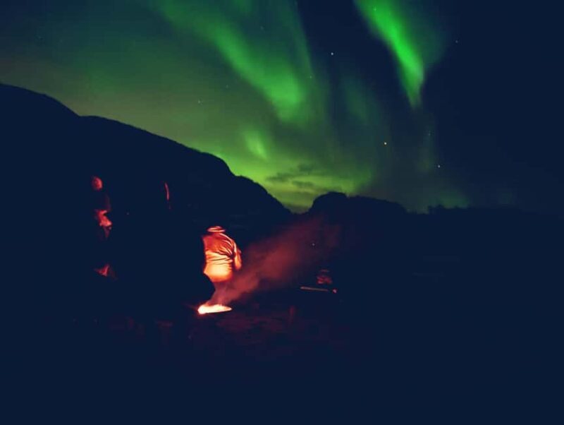 Tromsø: Northern Lights Guided Tour with Bonfire and Snacks - Who Should Book This Tour?