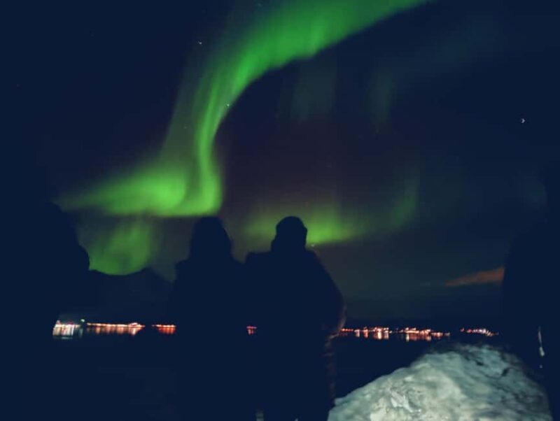Tromsø: Northern Lights Guided Tour with Bonfire and Snacks - The Sum Up