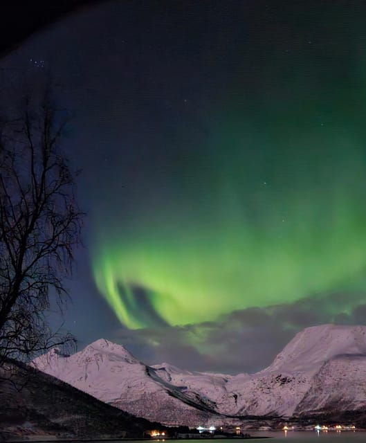 Tromsø: Northern Lights Hunt. Local Guide, Private Basecamp. - An Authentic Arctic Northern Lights Experience
