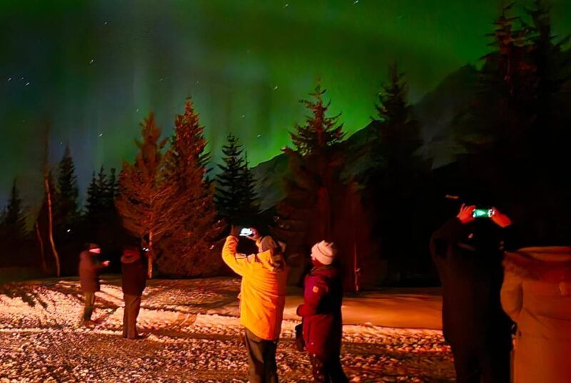 Tromsø: Northern Lights Hunt, private tour - Who Is This Tour Perfect For?