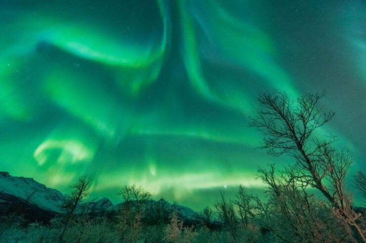 Tromsø: Northern Lights Hunt With Photos and Hot Food - Learn Night Sky Photography Techniques
